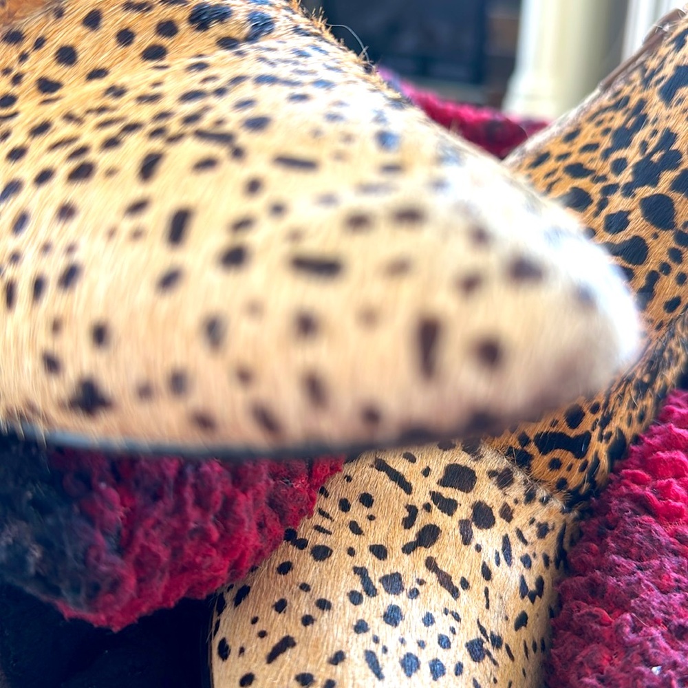 Chic Leopard Print Ankle Boots - Picture 9 of 14